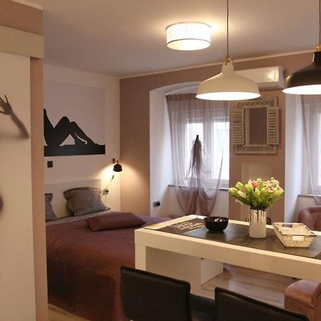 Apartment Mala Tajna 里耶卡 外观 照片